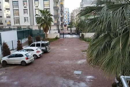 Kaleicine 3 Km Adan Zye Daire